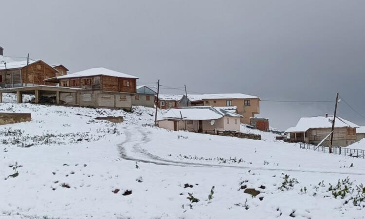 Heavy snow hits Turkey's northeast as wildfires rage