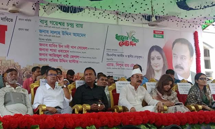 Gayeshwar hopeful about BNP's return to power