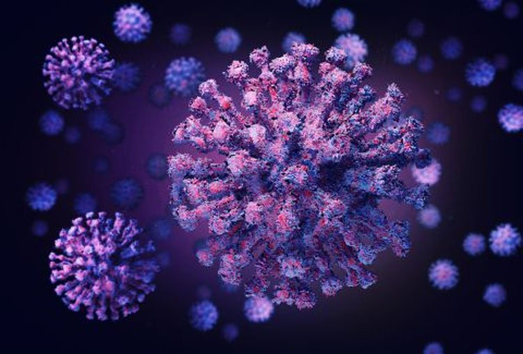 Three more Covid-19 cases reported in Ctg