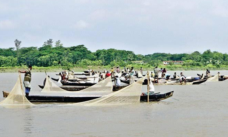 Land use changes in Halda River Basin threaten ecosystem and livelihoods: Study