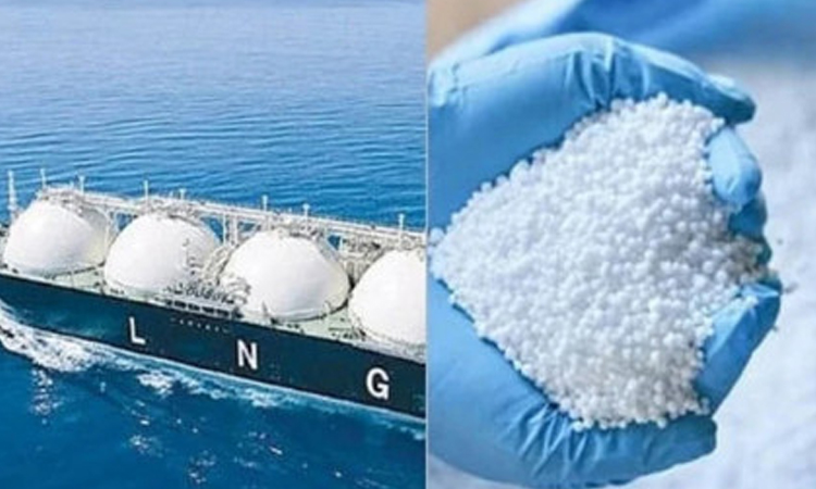 Govt to procure 1 cargo LNG, 30,000 MTs fertilizer