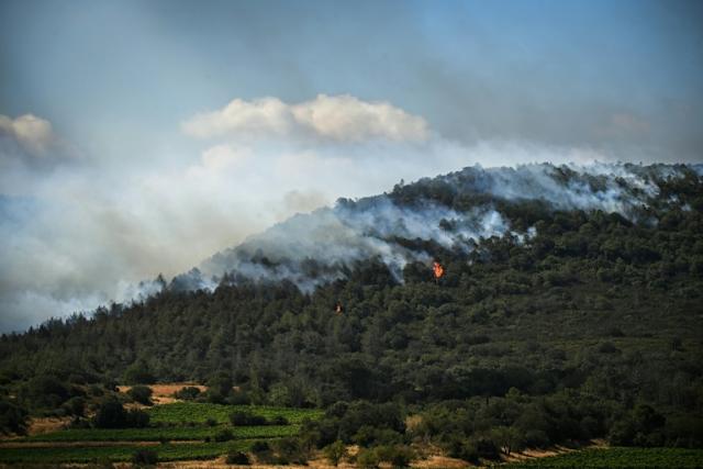 Forest fire blazes in southern France