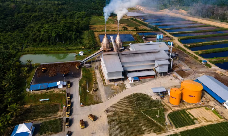 Indonesia signs energy, grain deals with US: minister