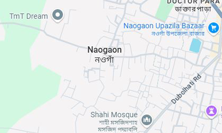 BNP holds tree plantation programme in Naogaon 