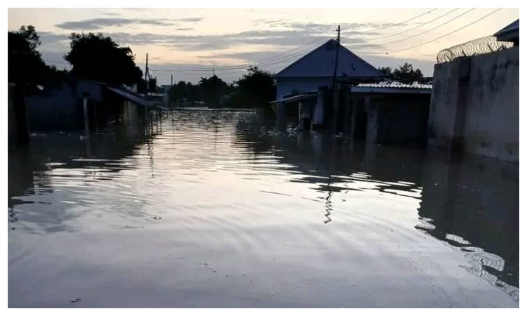 Flash floods kill three in New Mexico