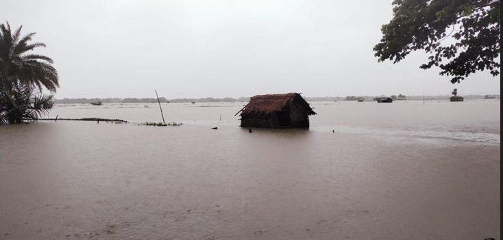 Heavy rain washes away over 100 shrimp enclosures, damages huge cropland in Khulna
