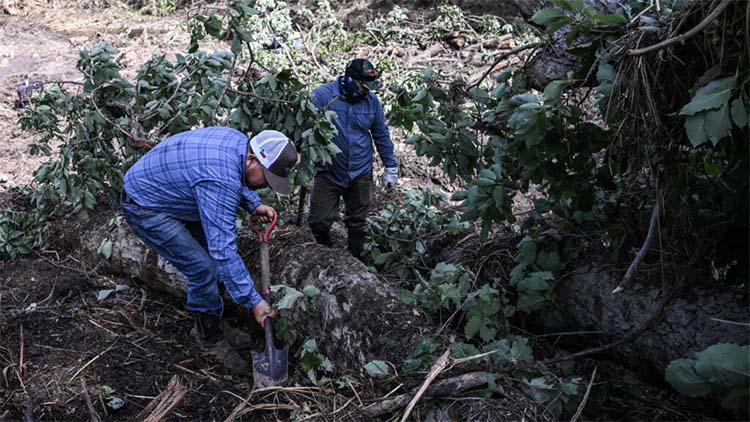 Searching for Grandma Alicia after Texas floods