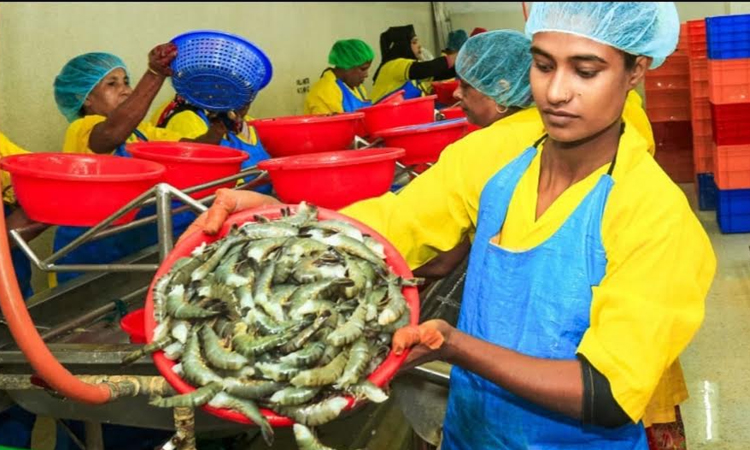 Tk 5,971.40 cr earned by exporting jute, shrimp, other goods from Khulna in 2024-25 fiscal: EPB