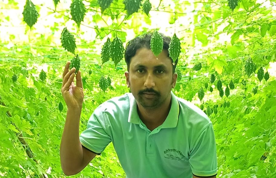 Smart farming: Ujjwal Das leads bitter gourd boom in Khulna