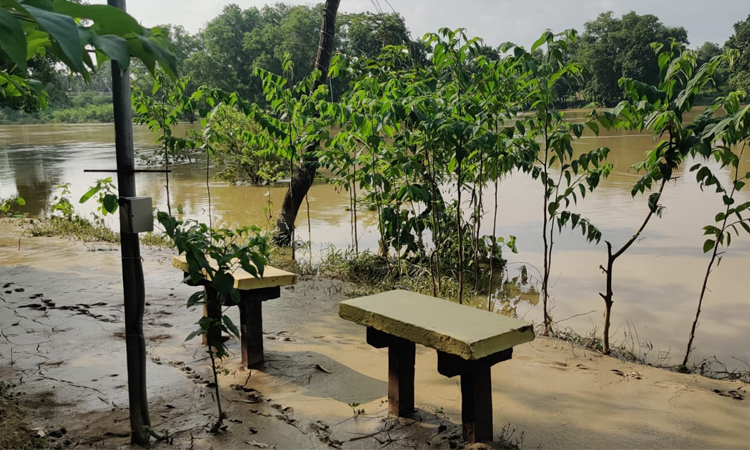 Water level of Gomti river recedes as rains ease