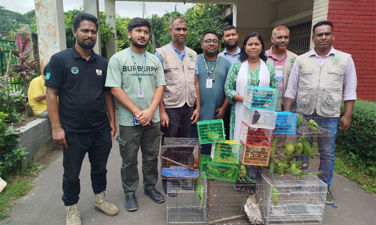 50 wild birds rescued from Mirpur-1
