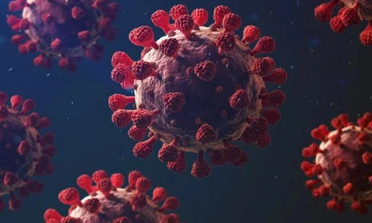 3 new COVID-19 cases reported in 24 hrs