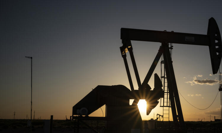 IEA sees anaemic global oil demand growth amid tariff turmoil