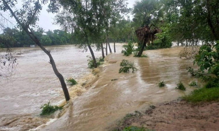 Flood situation of Feni district likely to develop in next 72 hours: FFWC