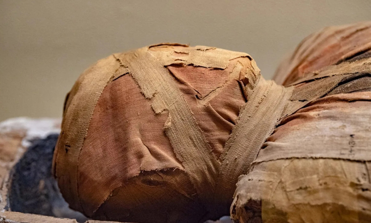 Belgium returns 2,000-year-old sarcophagus to Egypt