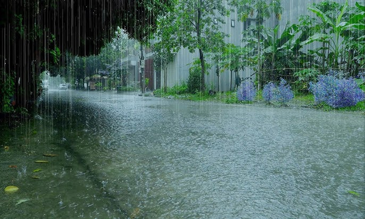 Rain likely in all divisions of the country 