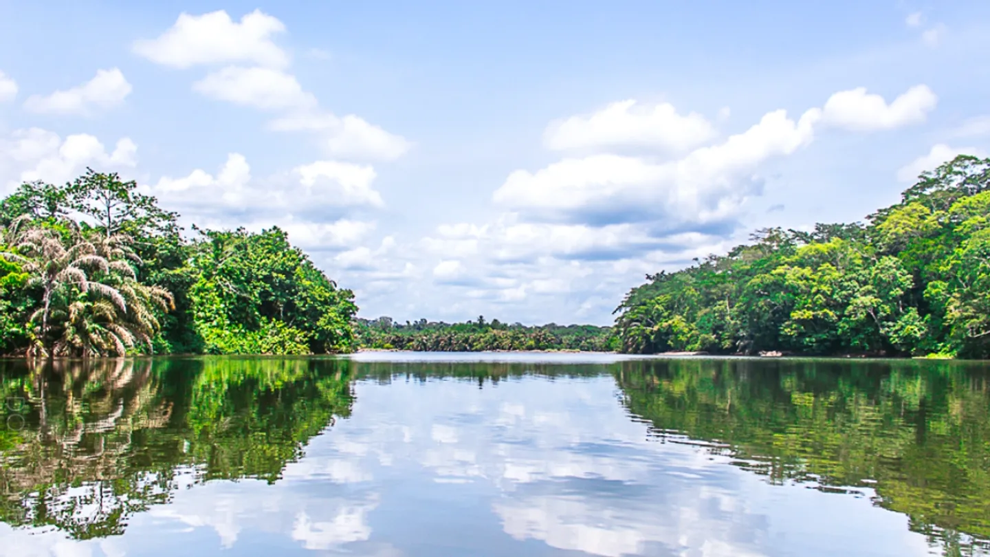 Decades of activist's work results in S.Leone World Heritage site