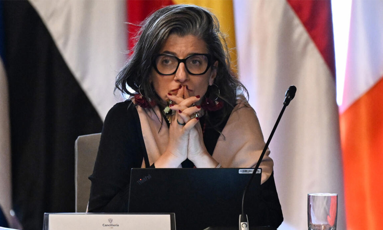 UN expert on Palestinians says US sanctions are a 'violation' of immunity