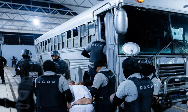 David vs Goliath: Inside the legal battle to help Trump's deportees in El Salvador