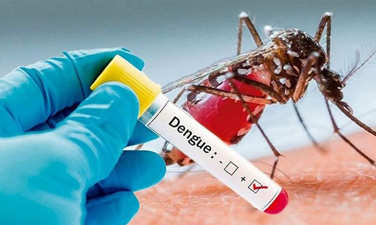 One dengue patient dies, 114 hospitalized in 24hrs