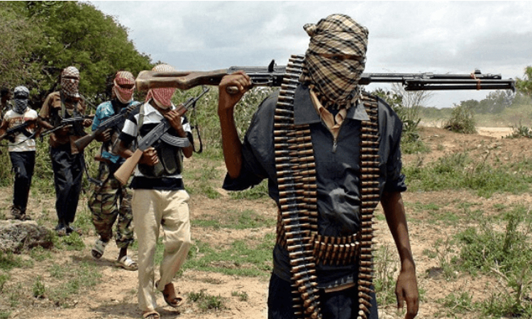 'Bandit' gang kills nine Nigerian farmers
