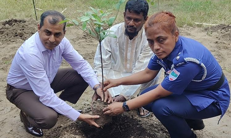 Tree plantation programme held in Magura in memory of July martyrs