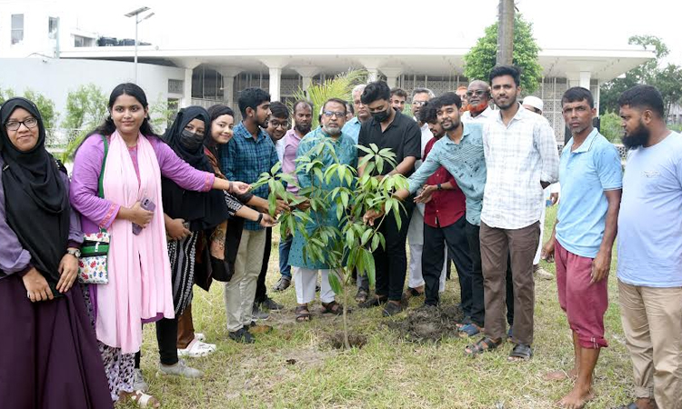 Tree plantation programme held at KU in memory of martyr Mugdho