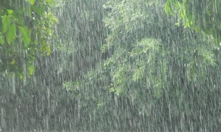 Met office forecasts rain across country 