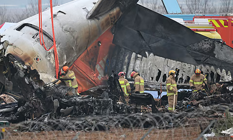 Jeju Air crash families denounce report blaming pilot error