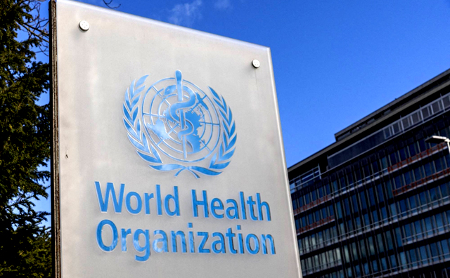 WHO chief says 'large proportion' of Gaza's people 'starving'
