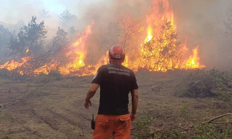 Wildfire kills at least 10 Turkish workers battling blaze