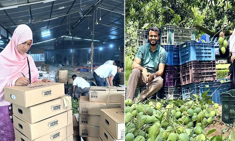 Umma Kulsum Popi: Bangladesh's beloved agri influencer