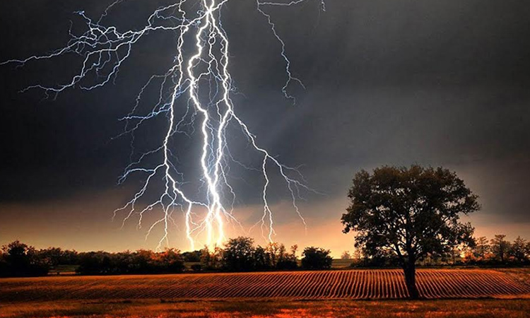 Youth killed in Sherpur lightning strike