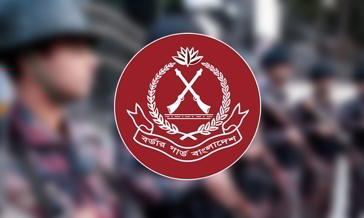 Fireworks, shrimp renu worth Tk 1cr seized in Cumilla