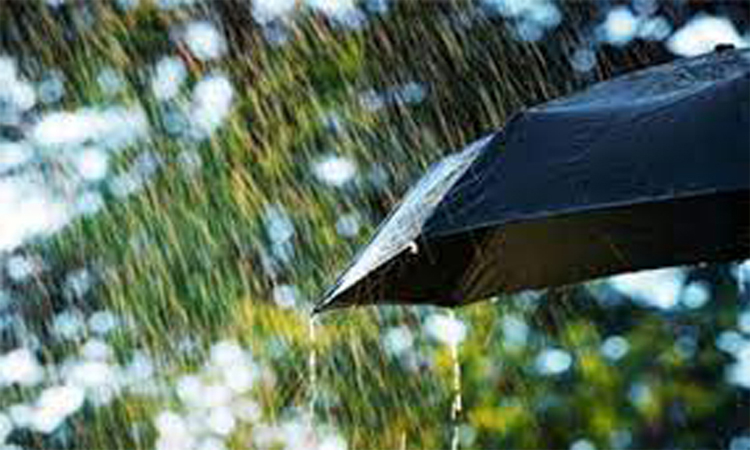 Rain likely 