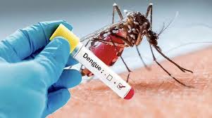 Health officials report 3 deaths, 409 fresh cases of dengue inflection overnight