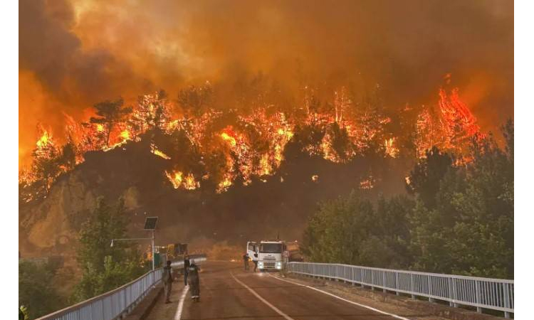 Turkey battles wildfires amid strong winds, heatwave