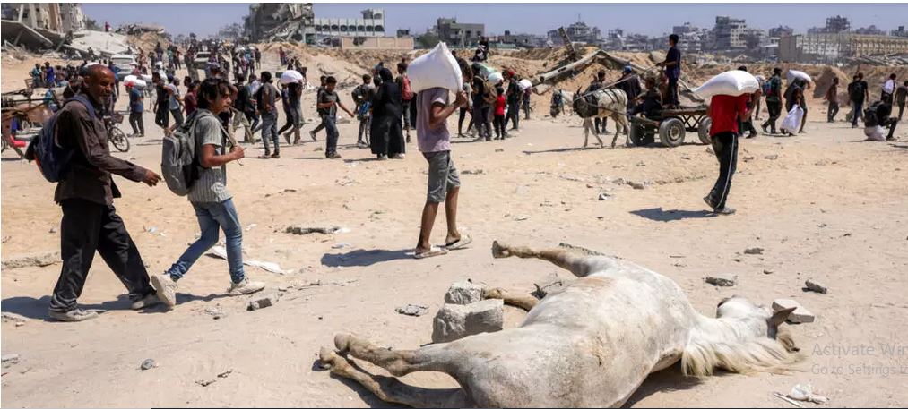 Food arrives in Gaza after Israel pauses some fighting