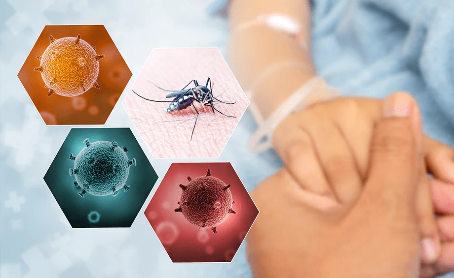 Two dengue patients die, 394 hospitalized in last 24hrs