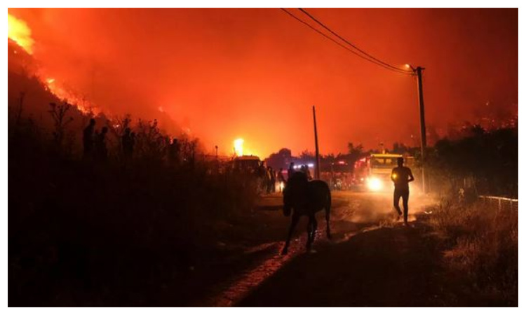 Turkey battles wildfires as heatwave grips Med