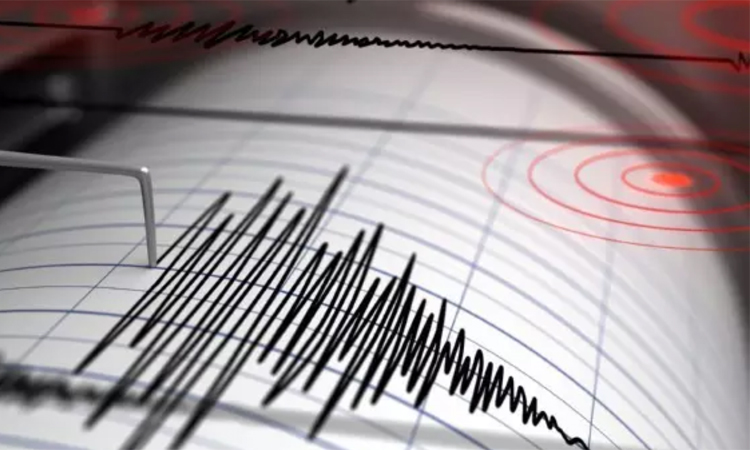 Magnitude 6.5 quake hits India's Nicobar Islands