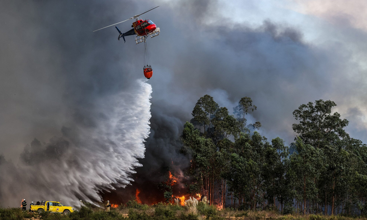 Portugal battling wildfires across country