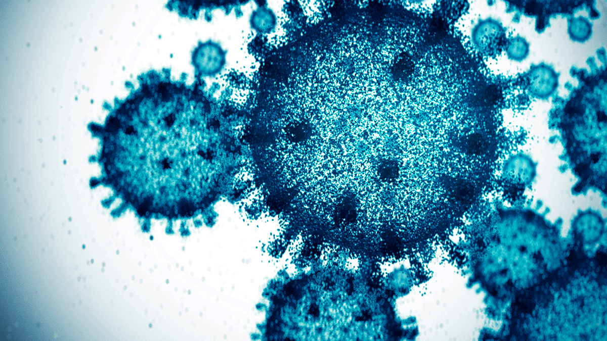 No new COVID-19 cases reported in 24 hours