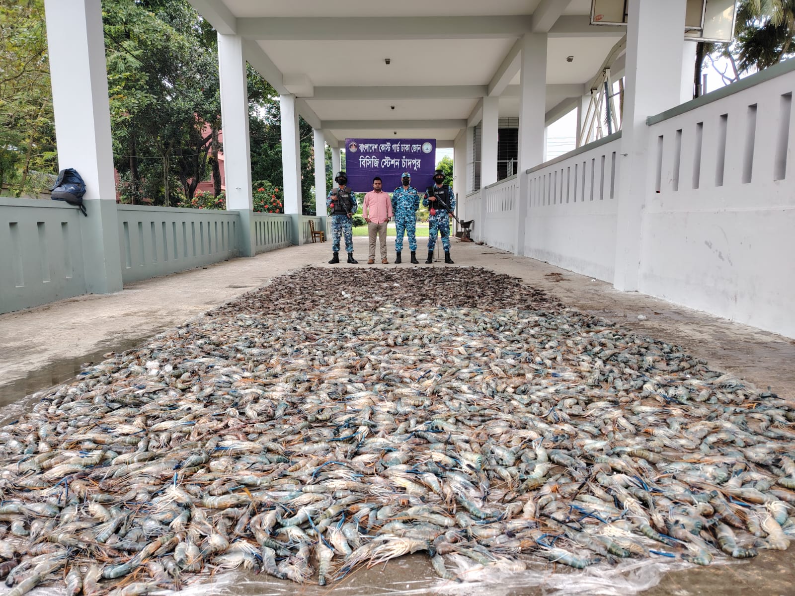 1,800 kg gel-injected shrimp seized in Chandpur
