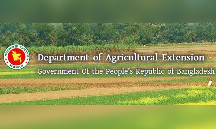 Target fixed to produce 4,28,616 tonnes of rice in Gaibandha
