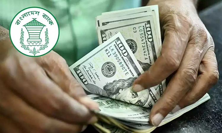 Remittance inflow rises by 32pc in 30 days of July