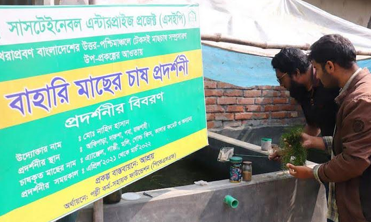 Ornamental fish farming gains popularity among youth in Rajshahi