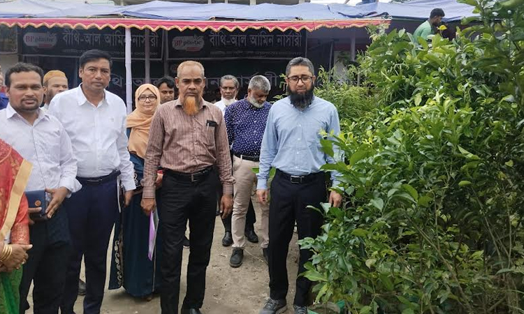 Week long Tree Fair ends in Manikganj 