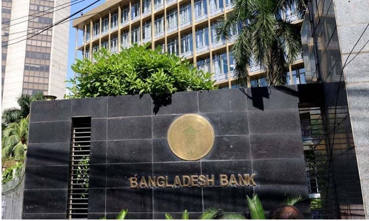 Forex reserves gain stability within a year