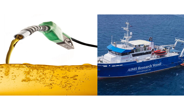 Govt to procure 50,000 MTs gasoline, one research vessel